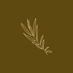 Wall Mural - Olive Branch with leaves. Outline Botanical leaves In a Modern Minimalist Style. Vector Illustration.