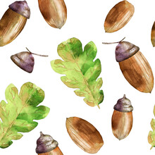 Watercolor autumn pattern with acorns or oaknuts