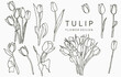 Black tulip logo collection with leaves,geometric.Vector illustration for icon,logo,sticker,printable and tattoo