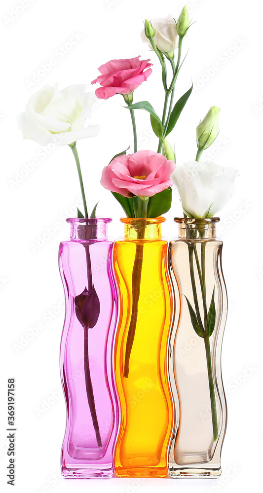 Beautiful vases with flowers on white background
