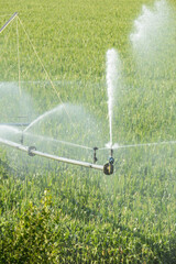 Poster - agriculture eau sécheresse arrosage culture céréales