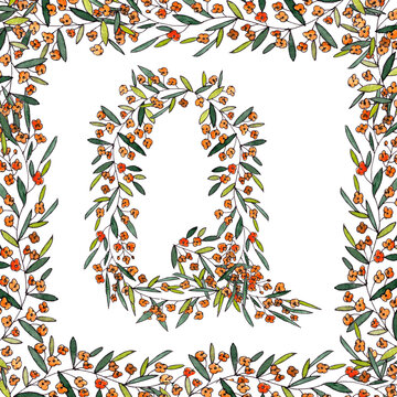 letter Q of the english and latin floral alphabet. colorful graphic in square frame on a white background. letter Q of sprigs blooming with orange flowers.