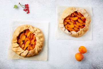 Wall Mural - Fruit galette on light background. Homemade open pie with apricots and red currant. Top view