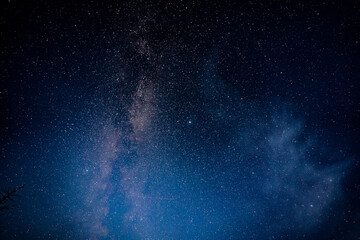 Wall Mural - overhead milky way with stars in clear summer night. country side.