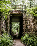 Fototapeta Desenie - stone bridge in the forest