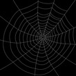 © Vjom - Full screen white spiderweb on black background.