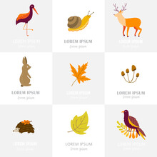 Set Of Autumn Cartoon Characters, Plants And Leaves. Fall Season