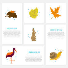 Set Of Autumn Cartoon Characters, Plants And Leaves. Fall Season