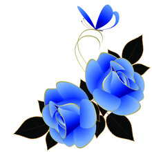 Corner Composition With Blue Roses And Butterfly, Isolated On White Background.