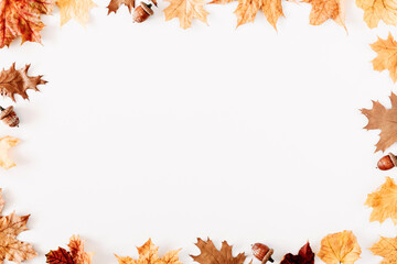 Wall Mural - Autumn creative composition. Frame made of dry leaves, acorns on white background. Fall concept. Autumn background. Flat lay, top view, copy space