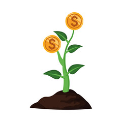 Canvas Print - coins money plant isolated icon