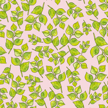 Seamless Pattern Of Leaves. Watercolor Green Leafy Twigs Isolated On Poudre Pink. Hand Drawn Round Pointed Foliage. Simple Sketch Or Doodle Style. Perfect For Wrapping Paper, Textile And Backdrop.
