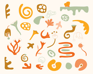 Poster - Decorative fairytale floral and herbal shapes set.