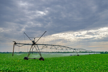 Watering beets in a large field using a self-propelled sprinkler system with a center swing. Modern agricultural technologies. Industrial production of agricultural crops. Copy space. 