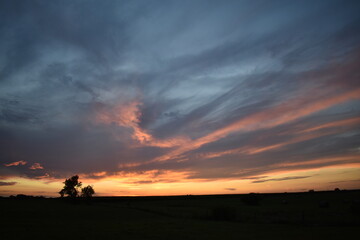 Canvas Print - Summer Sunset over a Field