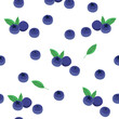 Blueberry vector seamless pattern