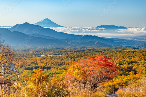 富士山とカラマツの紅葉 山梨県北杜市清里高原美し森にて Stock Photo Adobe Stock 富士山とカラマツの紅葉 山梨県北杜市清里高原美し森にて Stock Photo Adobe Stock