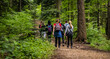 © K.Miłkowski - Hiking group of people in a forest