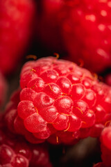 Freshly harvested raspberry. Selective focus. Shallow depth of field. 