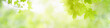 © Fahkamram - Nature of green leaf in garden at summer. Natural green leaves plants using as spring background cover page greenery environment ecology wallpaper