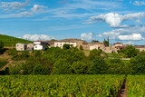 Fototapeta Miasto - Le village de Morgon dans le vignoble du Beaujolais dans le département du Rhône en France