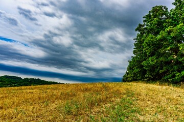 Stormy field horizon landscape in summer day 