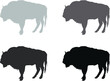 © Vladimir - set of buffalo
