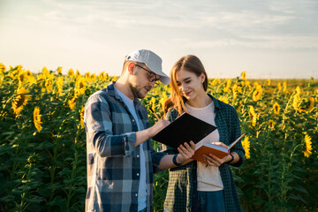 Man agronomist teaching young student to inspect sunflowers in field. Organic farming concept.