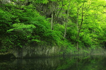  岩手県住田町　夏の鏡岩