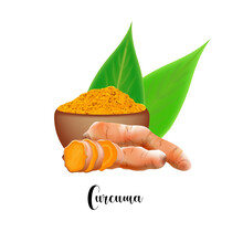 Curcuma Turmeric Meal And Root In Realistic Style Isolated.