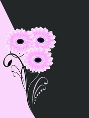 Wall Mural - Illustration of a beautiful black and pink floral background with gerberas.