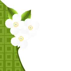 Wall Mural - Illustration of a floral background with a jasmine branch.