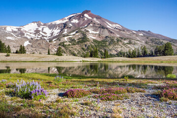 Wall Mural - volcanic mountain landscape with clear blue sky, morning light, reflective water, and blooming wildf