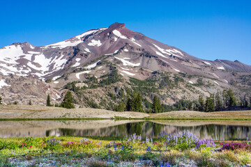 Wall Mural - volcanic mountain landscape with clear blue sky, morning light, reflective water, and blooming wildf