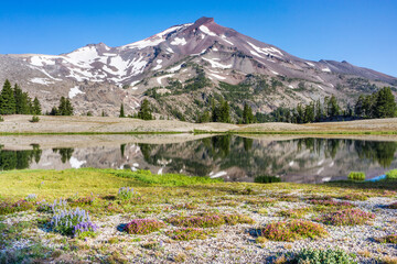 Wall Mural - volcanic mountain landscape with clear blue sky, morning light, reflective water, and blooming wildf