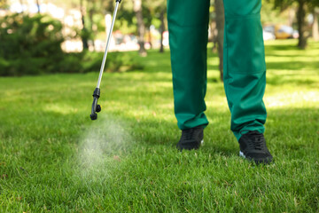 Worker spraying pesticide onto green lawn outdoors, closeup. Pest control