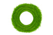 © Thongtawat - Green grass circles isolated on white background.