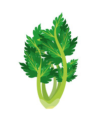 Sticker - celery healthy vegetable isolated style icon