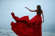 woman in a long red dress. Back view