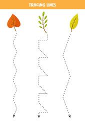 Wall Mural - Tracing lines with cartoon autumn leaves. Practice for kids.