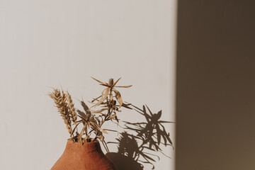 Wall Mural - Red handmade clay flower pot with dry wheat / rye bouquet in sunlight shadows on neutral background. Minimal modern interior decoration concept.