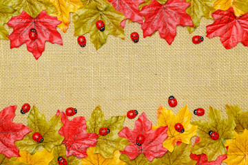 Autumn concept of red, green and yellow maple leaves with ladybirds on a natural hessian background