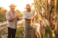 Portrait Of Two Senior Farmers. They Standing In Front Of The Corn Field.	
