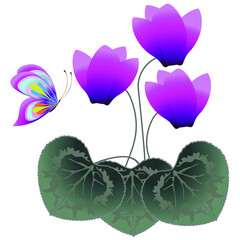 Wall Mural - Cyclamens with a butterfly.