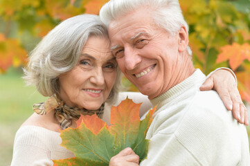 Canvas Print - Beautiful senior couple in autumn park with leaves