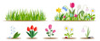Flower and grass flat icon set isolated on white. Various garden flowers including rose, tulip, orchid, Espatifilo, bells flowers, Bellis perennis, bulb flowers.