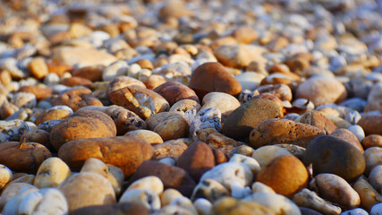 Wall Mural - brown stone texture background. pebble stone garden