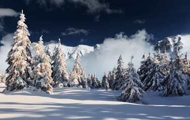 Wall Mural - Beautiful winter majestic landscape with snow on trees. Wild nature