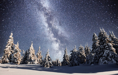 Wall Mural - Starry sky in winter snowy night. Big milky way. Majestic landscape. Courtesy of NASA