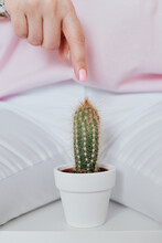 A Green Prickly Cactus Stands Between Her Legs In White Pants, Showing Off Her Bikini Zone. Prickly Cactus Does Not Allow You To Touch It, The Hair On The Body Is Prickly Like A Cactus